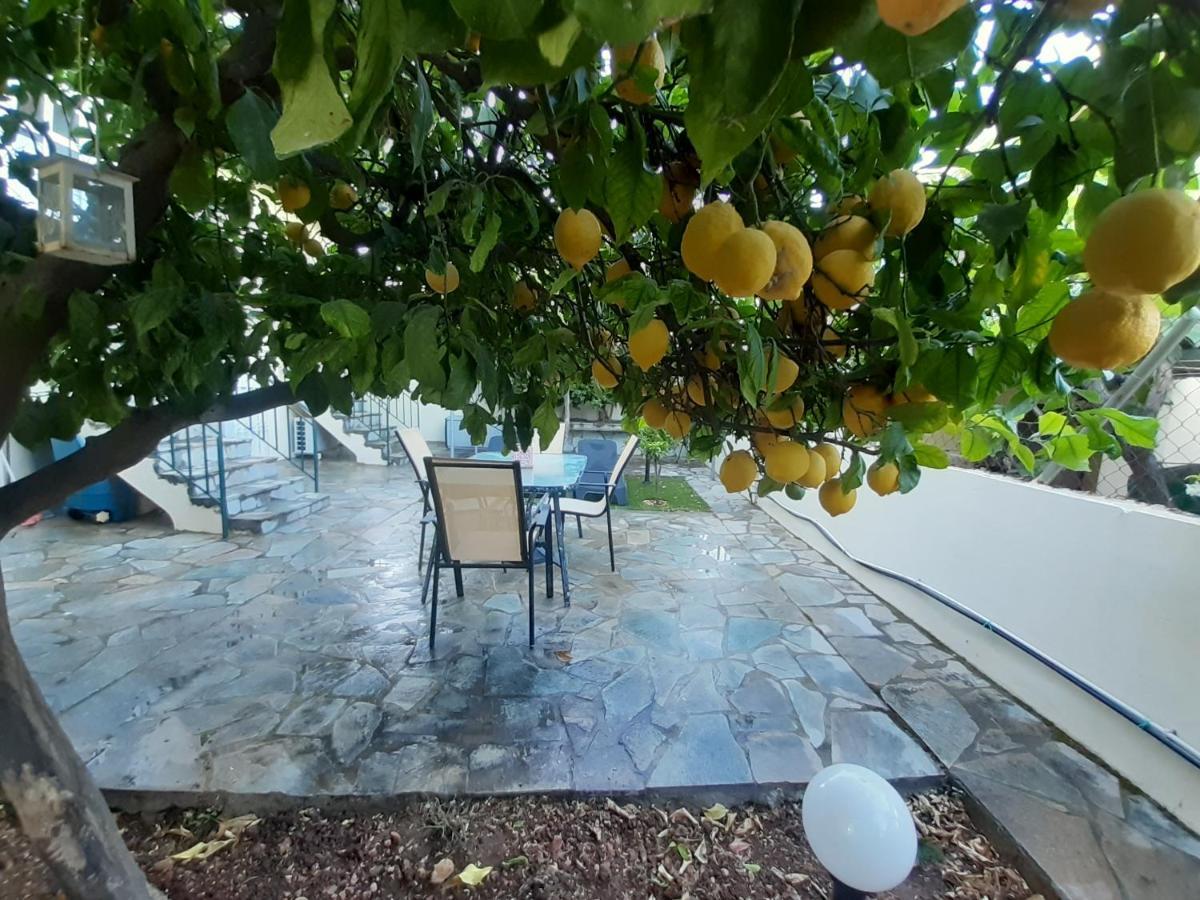 Cozy Apartments Near The Airport Artemida  Exterior foto